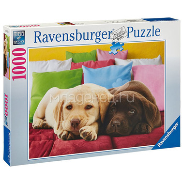 Пазл Ravensburger 1000 элементов Щенки лабрадора 1